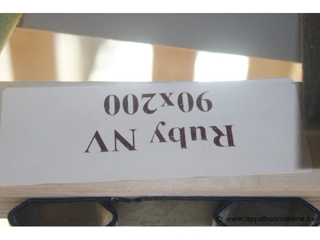 2 lattenbodems ruby 90x200 - afbeelding 2 van  2