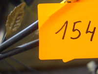 2 luchters in smeedijzer - afbeelding 1 van  3