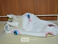 2 masker paardenhoofd - afbeelding 2 van  2