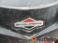 2 mecanische ondkruidtrekker met borstel briggs & stratton hxp onkruid borstel pro370 - afbeelding 10 van  12