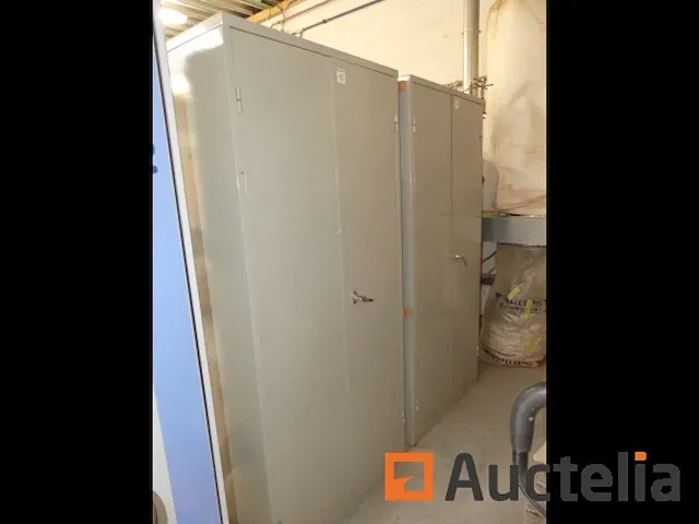 2 metaal kasten 2 deuren - afbeelding 2 van  5