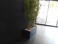 2 metalen plantenbakken - afbeelding 1 van  2