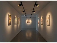 2 meter railsysteem met 6 st railspot gu10 fitting met ring (2x) - afbeelding 10 van  10