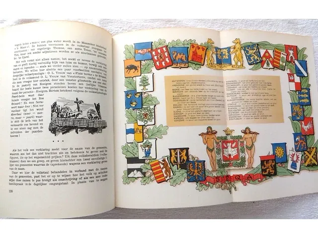 2 oude vlaamse boeken - afbeelding 11 van  11