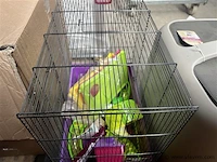 2 palletten, inh. partij diversen, wo. decoratie - afbeelding 4 van  7