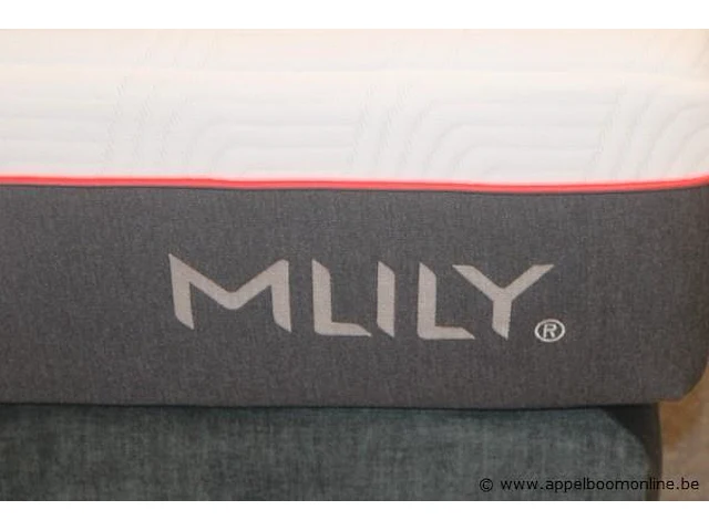 2 persoons bed/boxspring vv matras mlily 160x200 en 2 bijsetteafeltjes - afbeelding 2 van  4