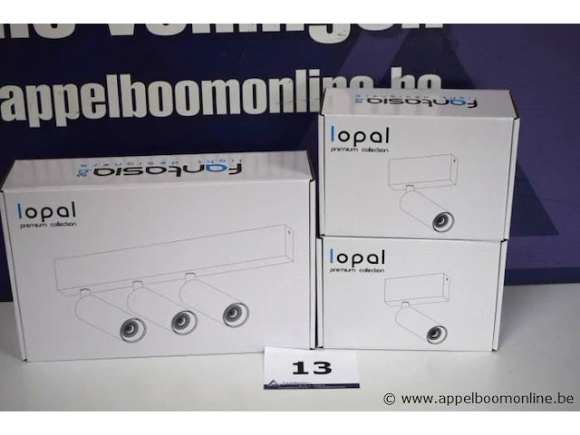 2 plafondlampen vv 1 led spot plus 1 plafondlamp vv 3 led spots fantasia lopal - afbeelding 1 van  3