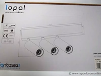 2 plafondlampen vv 1 led spot plus 1 plafondlamp vv 3 led spots fantasia lopal - afbeelding 3 van  3