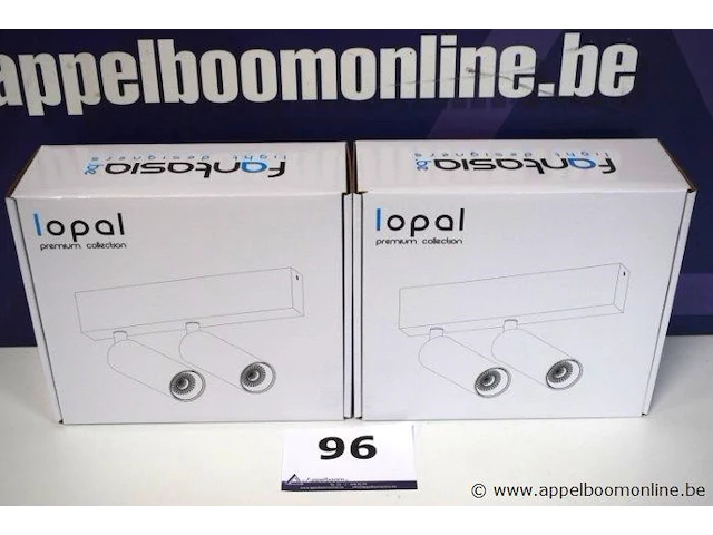2 plafondlampen vv 2 spots fantasia lopal - afbeelding 1 van  2