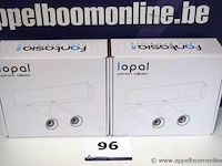 2 plafondlampen vv 2 spots fantasia lopal - afbeelding 1 van  2