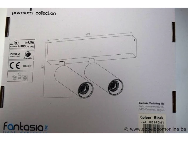 2 plafondlampen vv 2 spots fantasia lopal - afbeelding 2 van  2