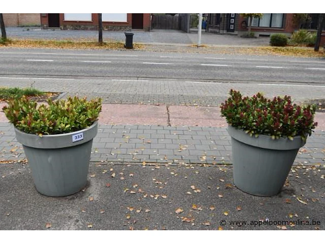 2 plantenbakken - afbeelding 1 van  1