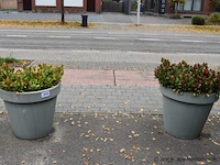 2 plantenbakken - afbeelding 1 van  1