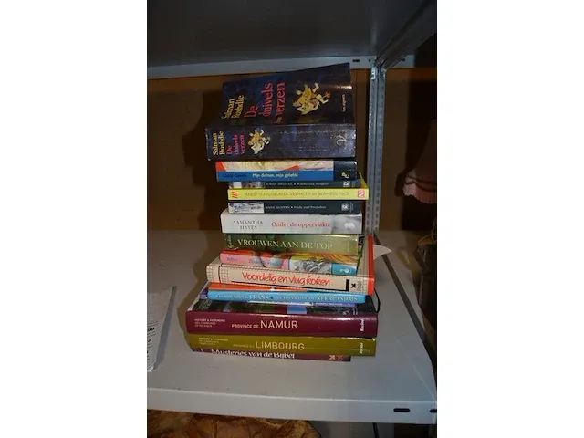 2 porseleinen beelden, 2 lampjes, 2 vazen, 2 oude fototoestellen, 15 ingebonden boeken - afbeelding 7 van  12