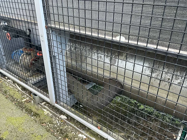 2 silo’s 150 ton met chiller frigel en droger munters - afbeelding 35 van  59