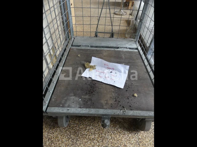 2 trolleys - afbeelding 7 van  8