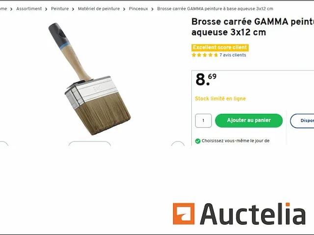 2 vierkante borstels verf waterige base 12 cm gamma - afbeelding 1 van  2