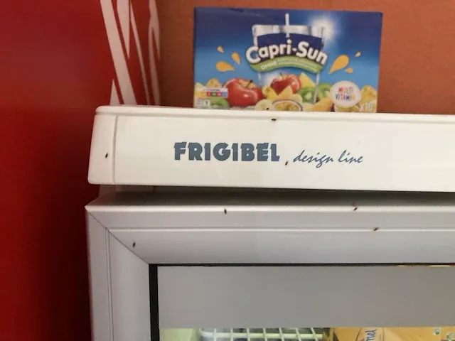 2 vitrinekoelers frigibel - afbeelding 3 van  4
