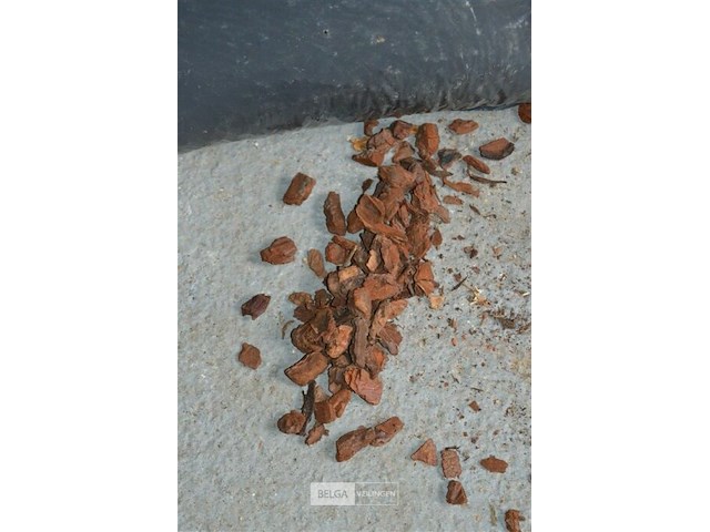 2 vuilniszakken boomschors - afbeelding 2 van  3