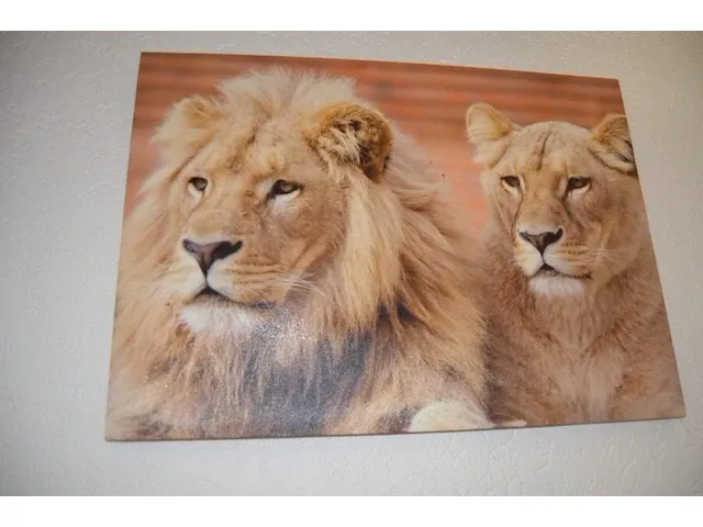 2 wandversieringen dierenprint op doek, schilderij olieverf - afbeelding 7 van  8