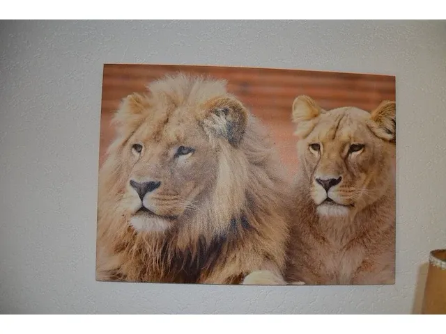 2 wandversieringen dierenprint op doek, schilderij olieverf - afbeelding 8 van  8