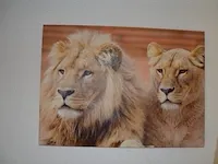 2 wandversieringen dierenprint op doek, schilderij olieverf - afbeelding 8 van  8