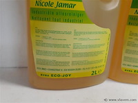 2 x allesreiniger professioneel 2 l - afbeelding 2 van  2