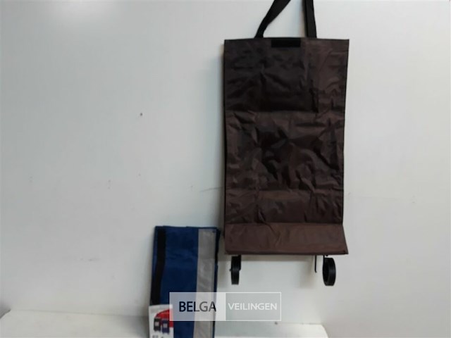 2 x boodschappenwagentje 33x16x60 cm opvouwbaar - afbeelding 2 van  3