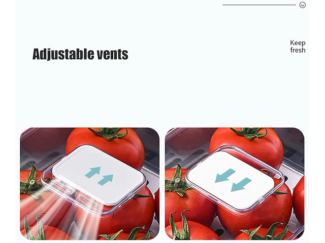 2 x koelkastcontainers - afbeelding 3 van  4