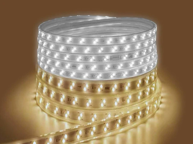 2 x led strip 25m - 10w/m - dubbele kleuren wit of warm wit - afbeelding 1 van  4