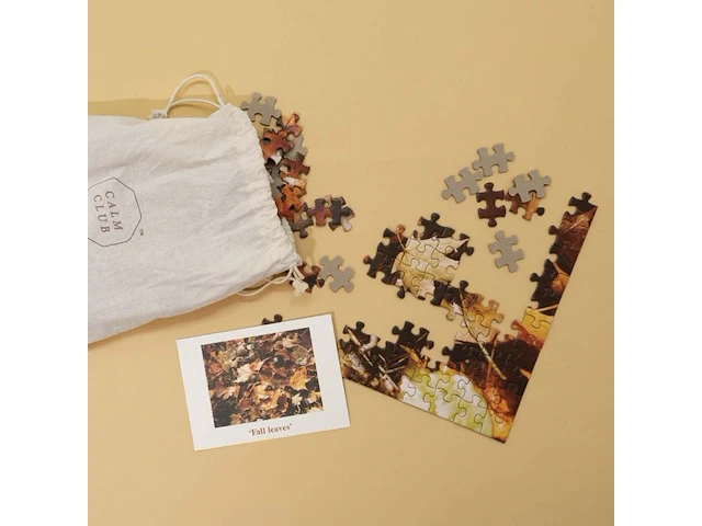 2 x puzzel - kikkerland 1000 stuks - calm club 500 stuks - afbeelding 5 van  5