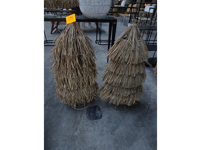 2 x rieten boom - afbeelding 1 van  1