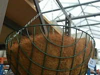 ±20 hangende plantenmand met kokosvezel - afbeelding 1 van  2
