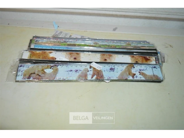 ±20 latten 30cm - afbeelding 1 van  4
