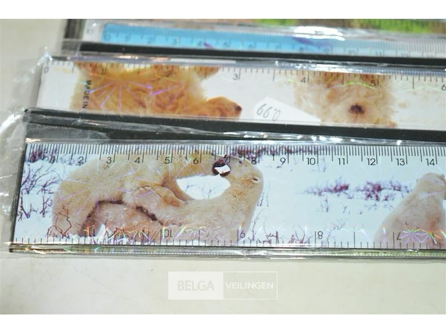 ±20 latten 30cm - afbeelding 2 van  4
