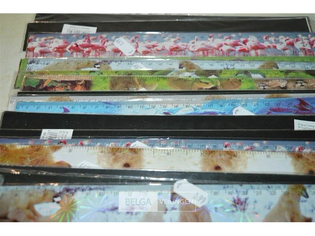 ±20 latten 30cm - afbeelding 3 van  4