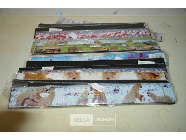 ±20 latten 30cm - afbeelding 4 van  4