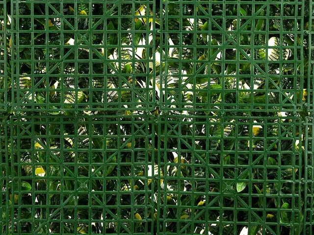 20 m² kunsthaag botanica - 100 x 100 cm - afbeelding 6 van  8