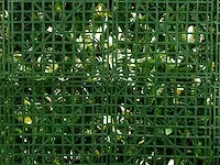 20 m² kunsthaag botanica - 100 x 100 cm - afbeelding 6 van  8