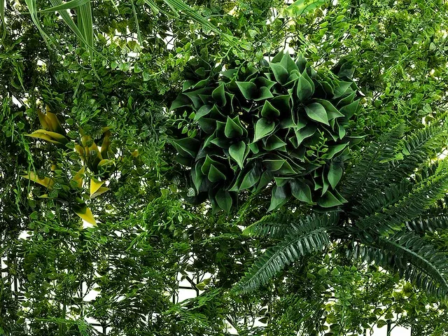 20 m² kunsthaag evergreen - 100 x 100 cm - afbeelding 2 van  8