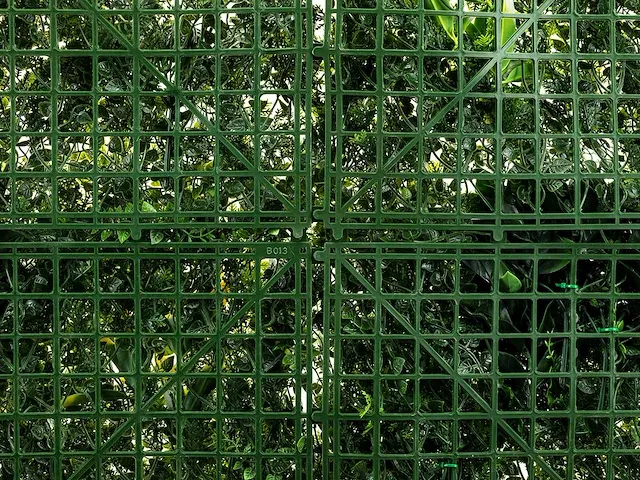 20 m² kunsthaag evergreen - 100 x 100 cm - afbeelding 5 van  8