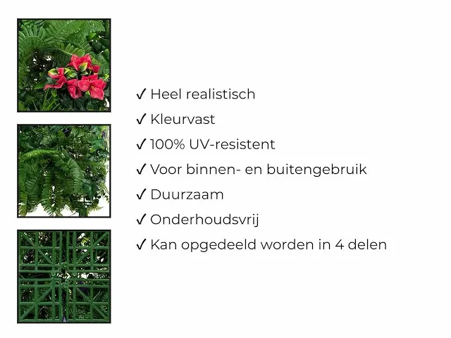 20 m² kunsthaag exotica - 100 x 100 cm - afbeelding 7 van  7
