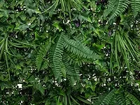 20 m² kunsthaag jungle - 100 x 100 cm - afbeelding 3 van  7