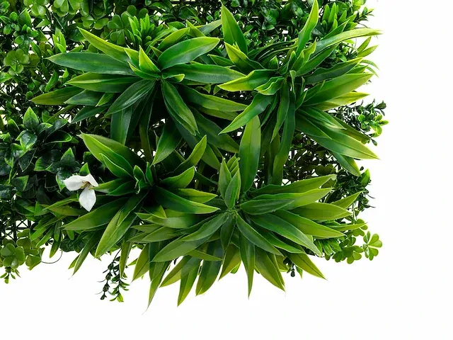 20 m² kunsthaag tropica - 100 x 100 cm - afbeelding 3 van  7