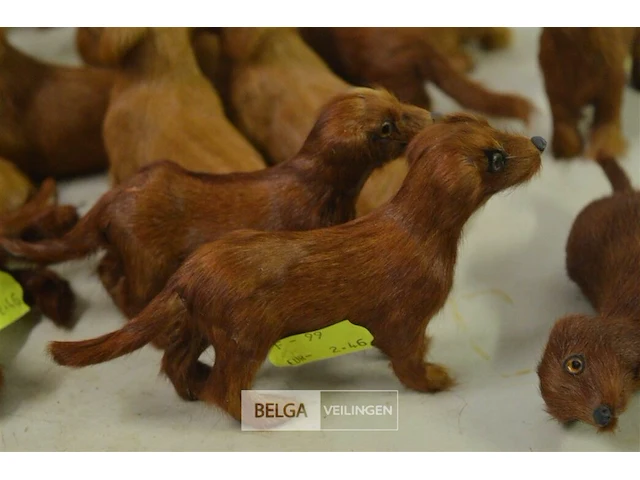 ±20 mini hondjes met echt haar - afbeelding 4 van  4
