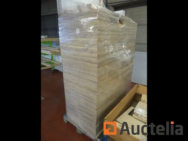 20 mm multiplex panelen + deuren voor verf - afbeelding 1 van  3