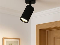20 x gu10 opbouwarmatuur – draaibaar 350°/70° – ø55x110 mm – aluminium – ip20 – binnen - afbeelding 1 van  5