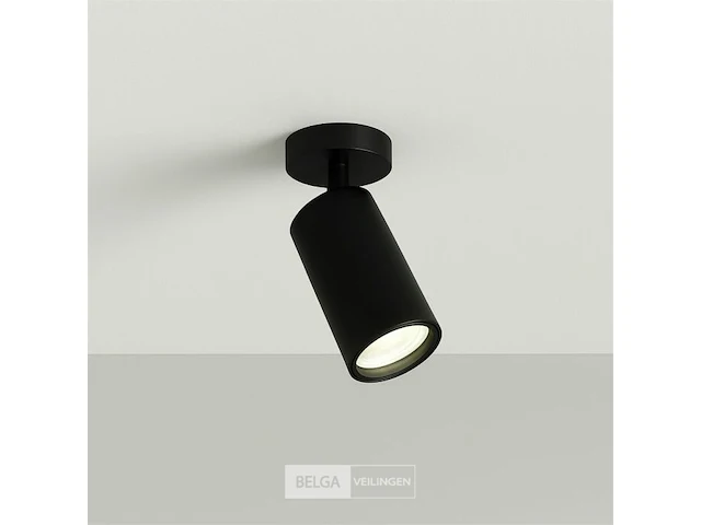 20 x gu10 opbouwarmatuur – draaibaar 350°/70° – ø55x110 mm – aluminium – ip20 – binnen - afbeelding 3 van  6