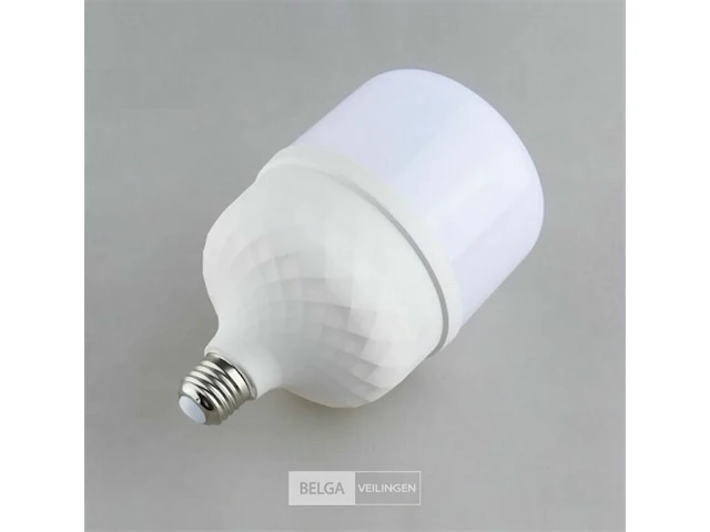 20 x led lamp - 48w - e27 - 6500k (daglicht) - afbeelding 3 van  4
