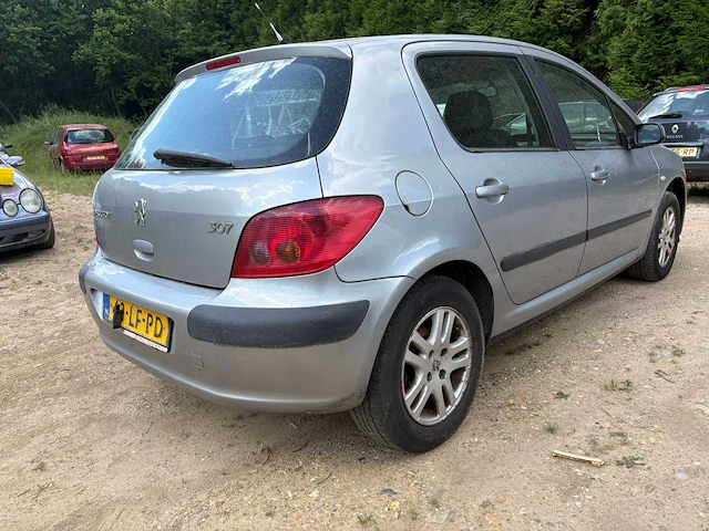 2002 peugeot 307 - afbeelding 8 van  15